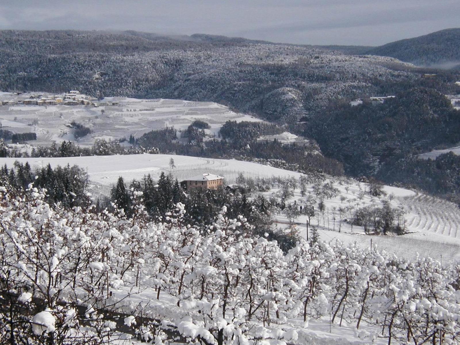 Locanda Alpina Brez Eksteriør billede